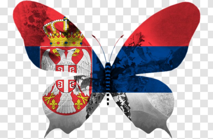 Serbia Flag Of Estonia Ireland: Only Love Survives - Insect Transparent PNG