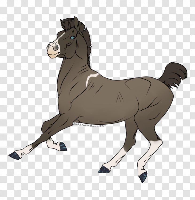 Mustang Foal Stallion Rein Halter - Murder Of Crows Transparent PNG