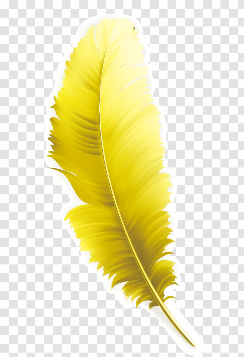 Feather Yellow Computer File - Gratis - Feathers Transparent PNG