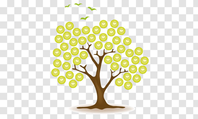 Kiwifruit Tree Actinidain - Fruit Juices Transparent PNG