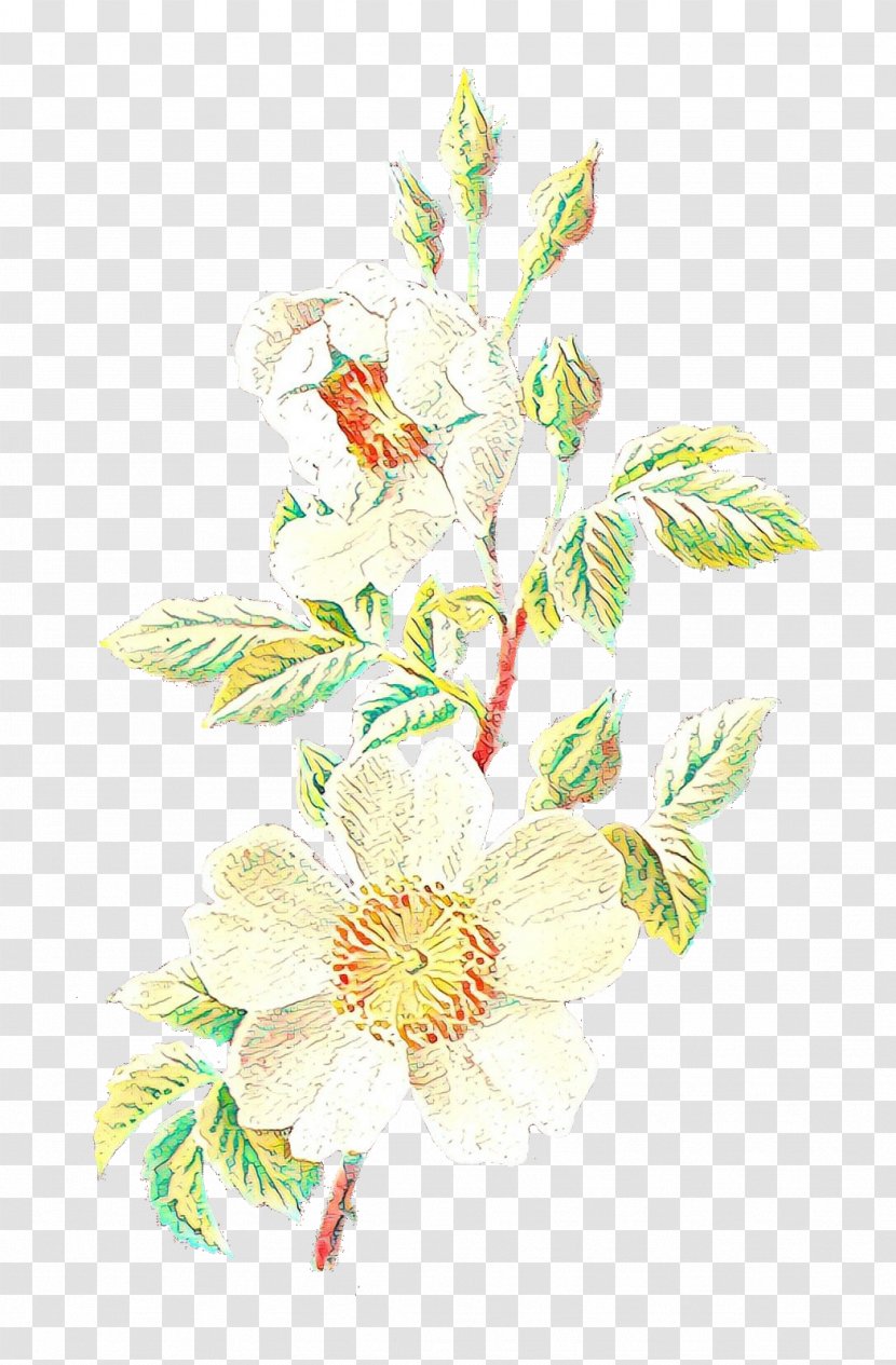 Floral Design Illustration Flower Work Of Art - Cut Flowers Transparent PNG