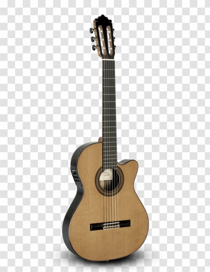 Steel-string Acoustic Guitar Maton String Instruments - Frame Transparent PNG