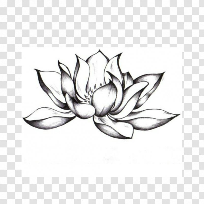 Drawings For Tattoos Sacred Lotus Image Flower - Petal Transparent PNG