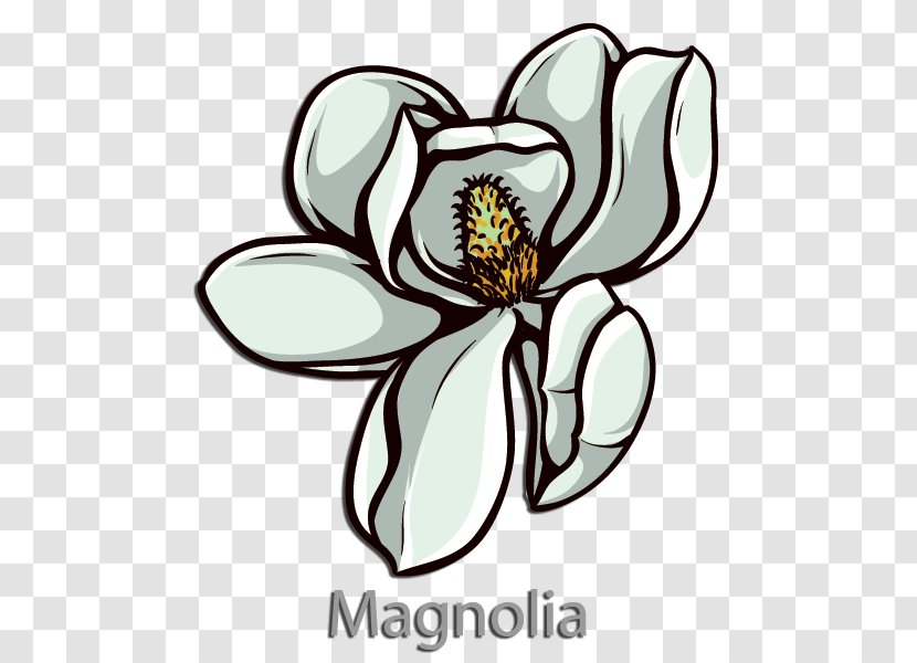 Lexington, Virginia Washington College Kappa Alpha Order Flower Tau Omega - Flora - Magnolia Transparent PNG