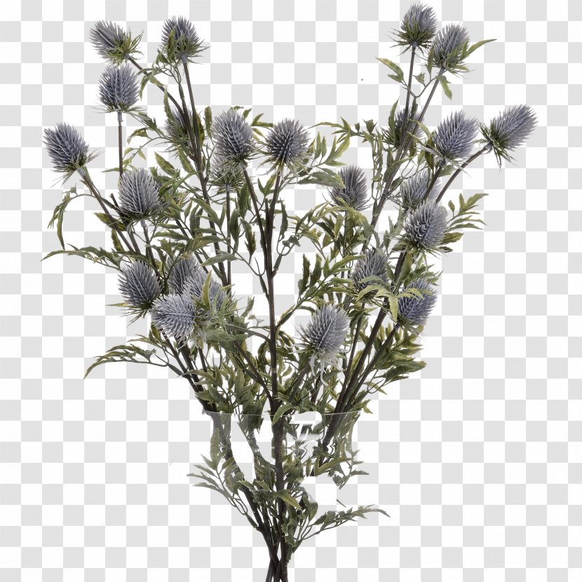 Artificial Flower Vase Eryngos Homewood & Rose - Grey Transparent PNG
