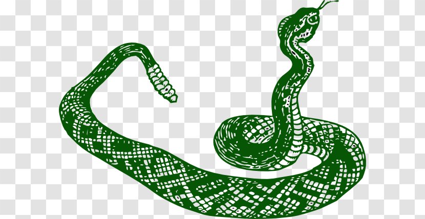 Rattlesnake Vipers Clip Art - Organism - Serpent Cliparts Transparent PNG