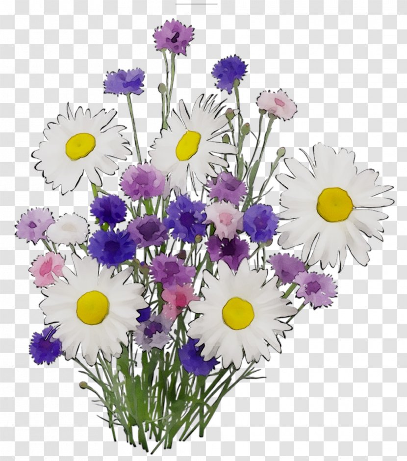 Chrysanthemum Floral Design Cut Flowers Flower Bouquet - Plant - Petal Transparent PNG