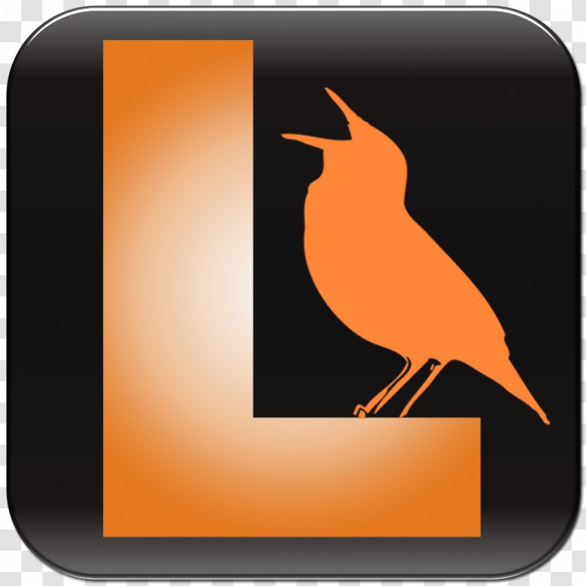 Bird Vocalization Beak Birdwatching App Store Transparent PNG