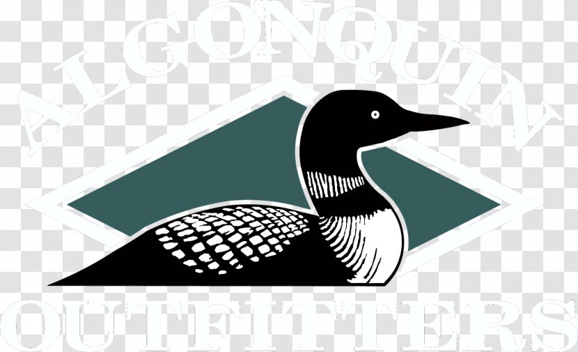 Common Loon Drawing Bird Duck Clip Art - Cartoon Lake Water Transparent PNG