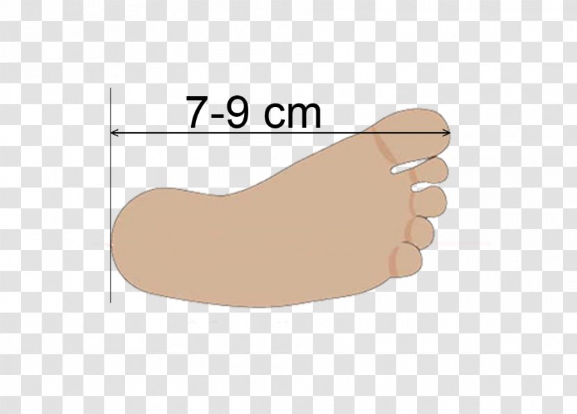 Thumb Shoe Toe Finger - Watercolor - Feet SHOES Transparent PNG
