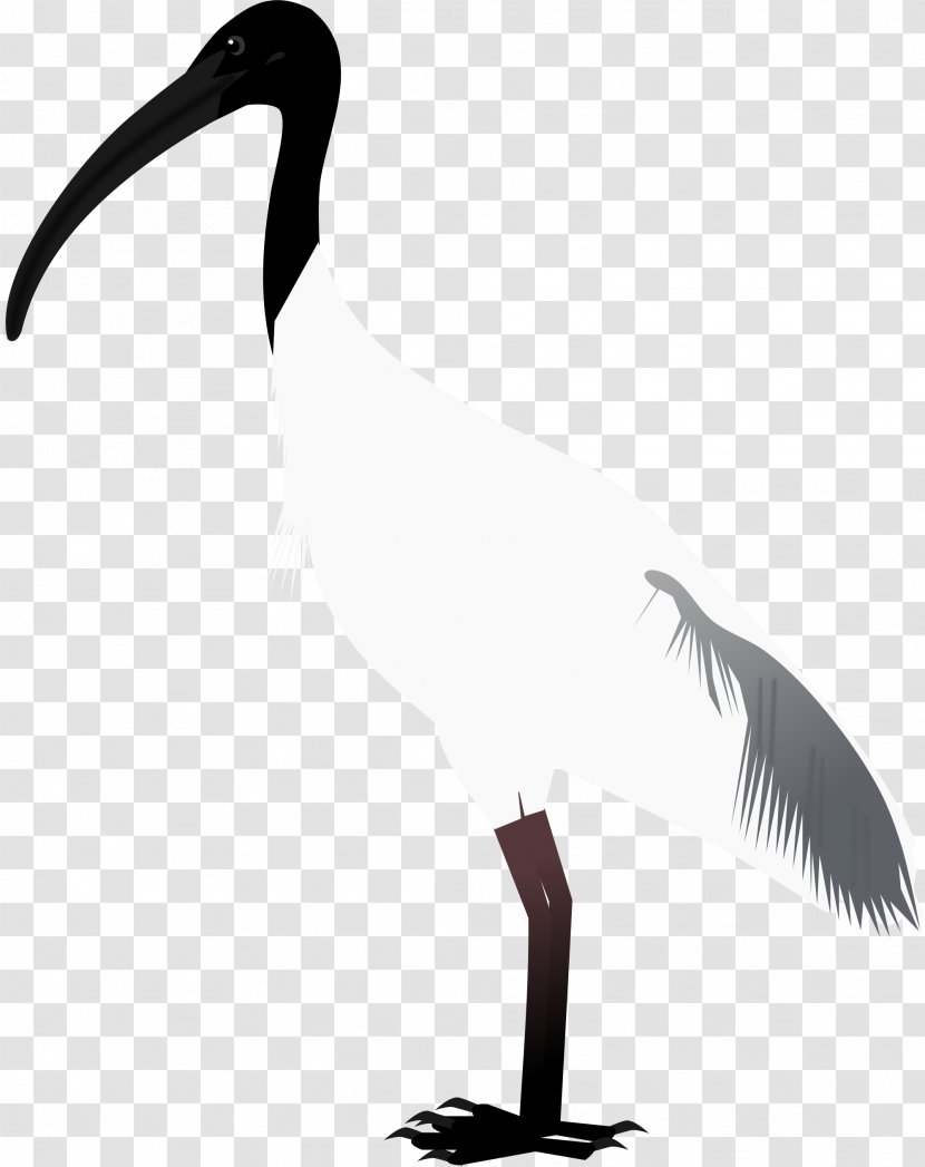 Beak Bird Goose Crane Cygnini - Water Transparent PNG
