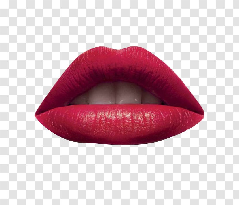 Lip Euclidean Vector - Mouth - Lips Transparent PNG