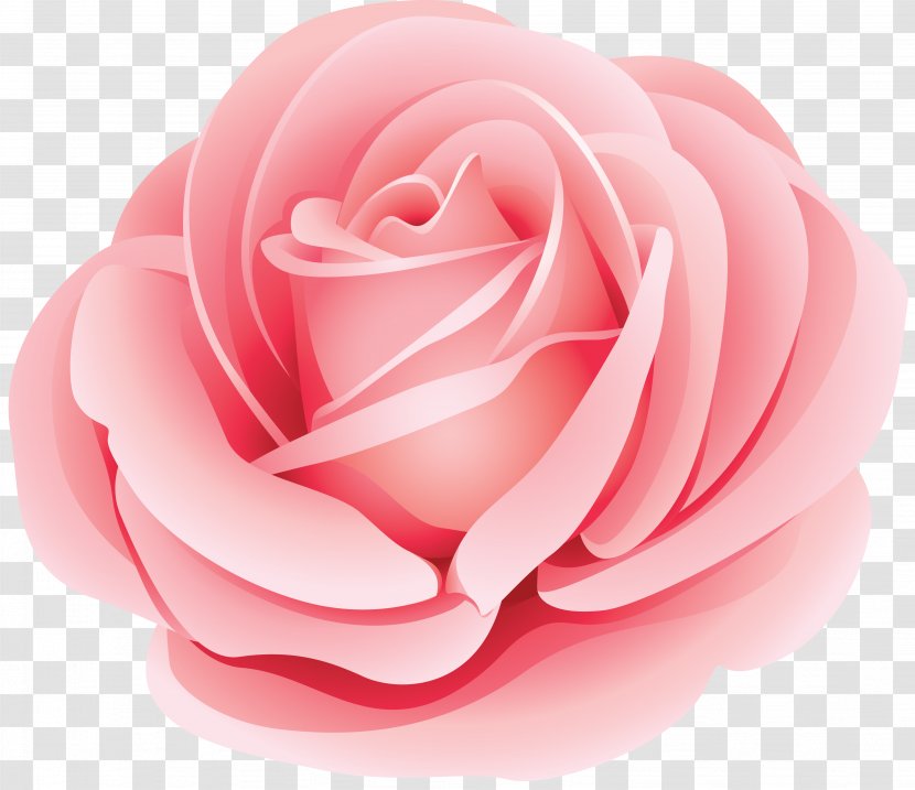 Flower Rose Clip Art - Plant - White Transparent PNG