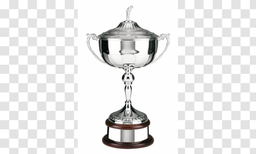 Trophy Award Cup Golf Medal - Drinkware Transparent PNG