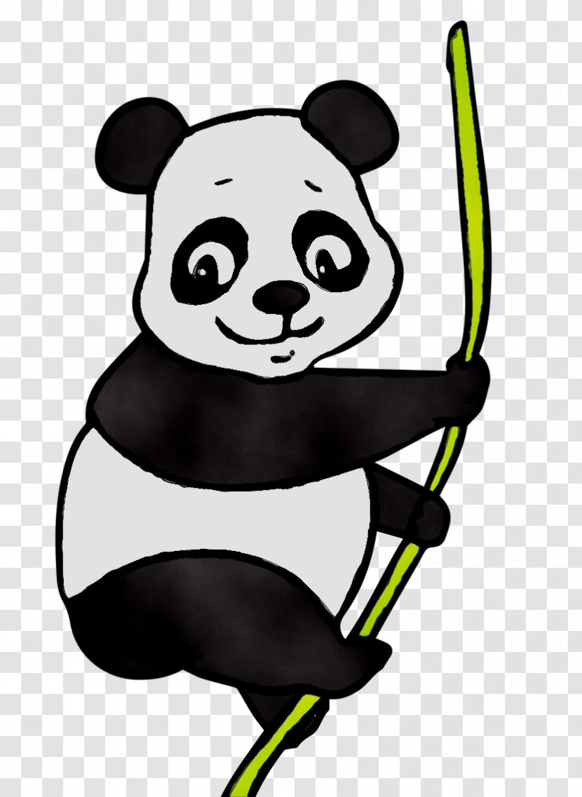 Giant Panda Red Bear Image Drawing - Mammal Transparent PNG