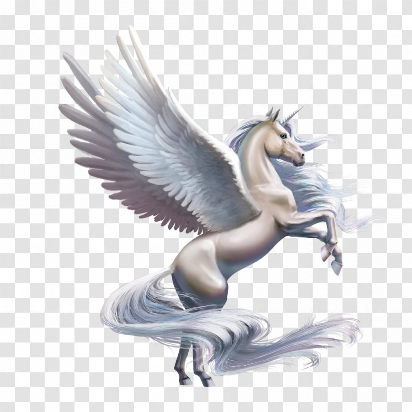 Winged Unicorn Pegasus Swift Wind - Wing Transparent PNG