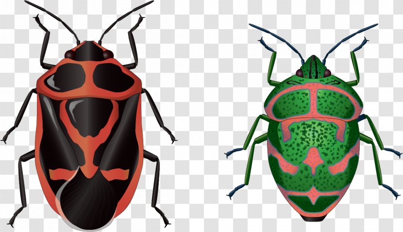 Beetle Euclidean Vector Clip Art - Insect - Hand-painted Insects Transparent PNG