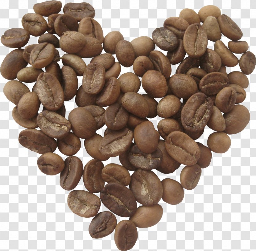 Jamaican Blue Mountain Coffee Espresso Tea Cafe - Nuts Seeds - Quality Beans Transparent PNG