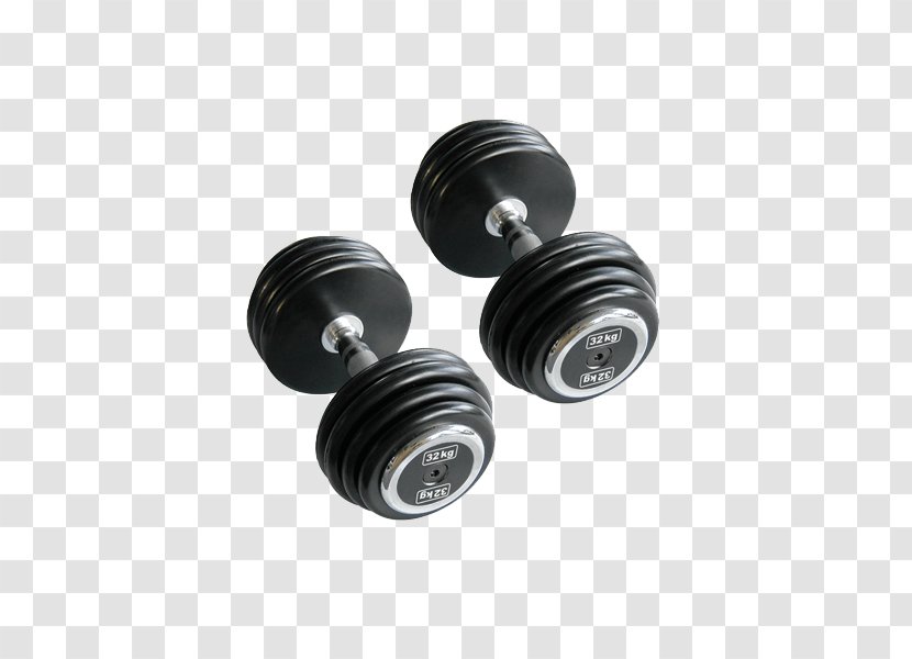 Dumbbell Fitness Centre Weight Training Physical Bench Transparent PNG