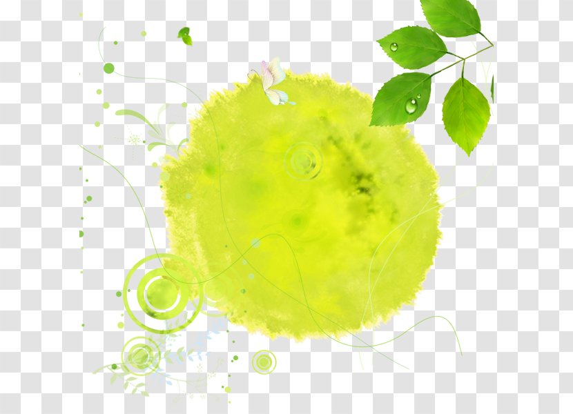 Green Web Banner Wallpaper - Tree - Fresh Background Transparent PNG