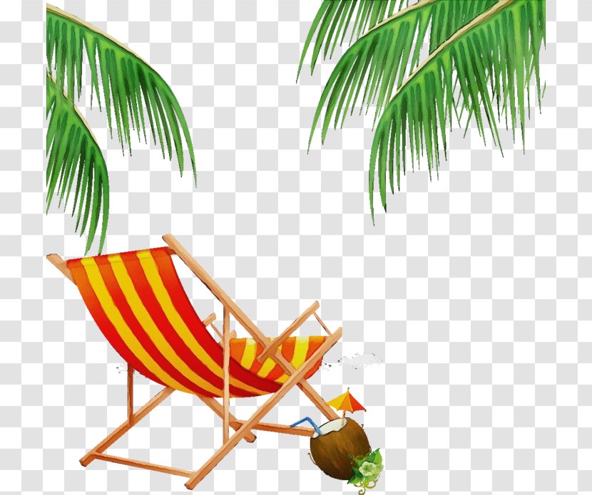 Coconut Tree Drawing - Hammock - Leisure Plant Transparent PNG