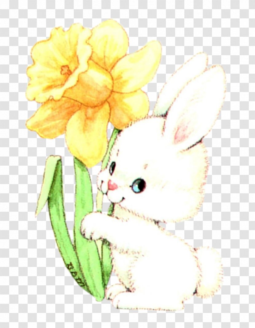 Whiskers Easter Bunny Domestic Rabbit Hare Transparent PNG