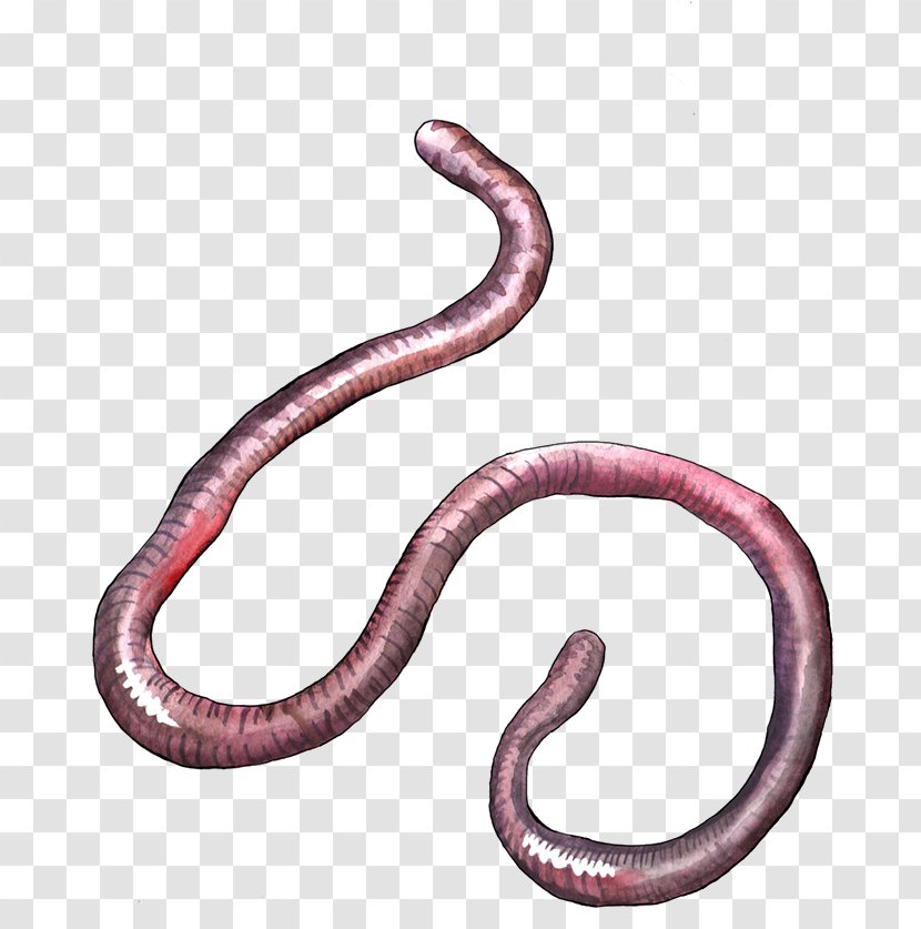 Earthworm Science Body Jewellery Serpula - Worms Transparent PNG