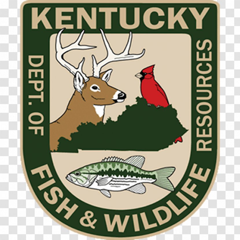 Frankfort Kentucky Department Of Fish And Wildlife Resources Hunting Fishing Boating - Reindeer Transparent PNG