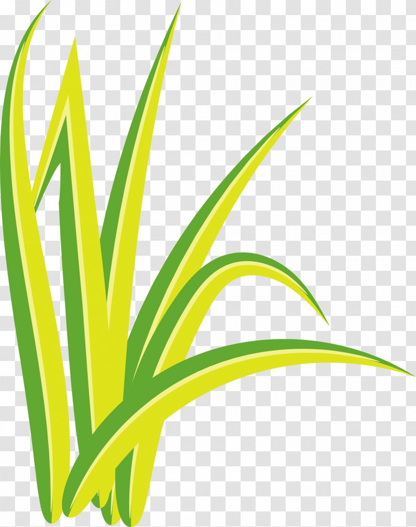 Clip Art - Plant - Hand Painted Green Grass Transparent PNG