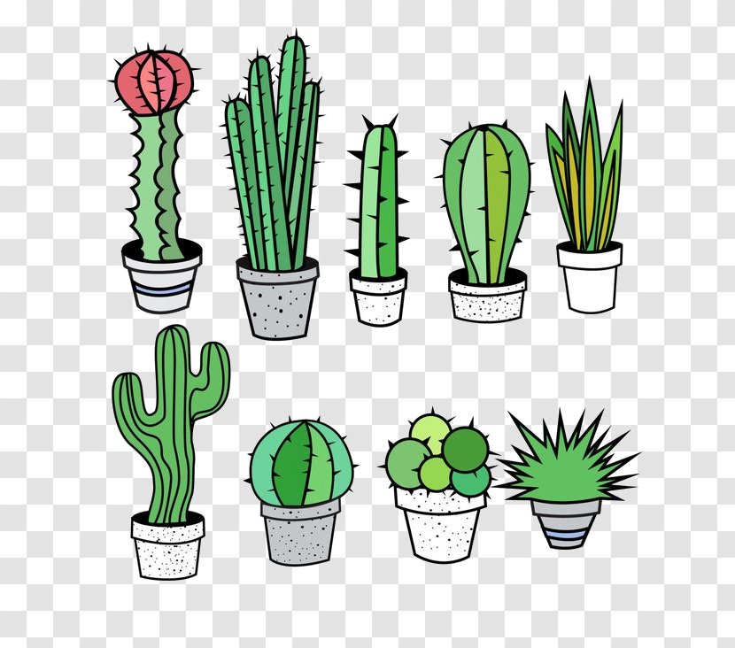 Cactus - Flowerpot - Grass Family Flower Transparent PNG