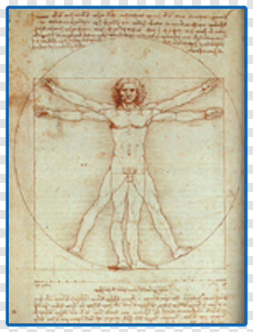 Man Cartoon - Vitruvian - Religious Item Leonardo Da Vinci Transparent PNG