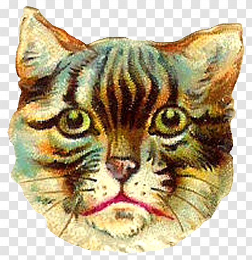 Ragdoll Kitten T-shirt Victorian Era Clip Art - Cuteness - Hand-painted Owl Transparent PNG