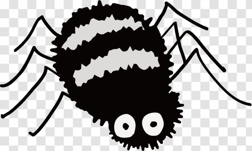 Spider Halloween - Insect Snout Transparent PNG
