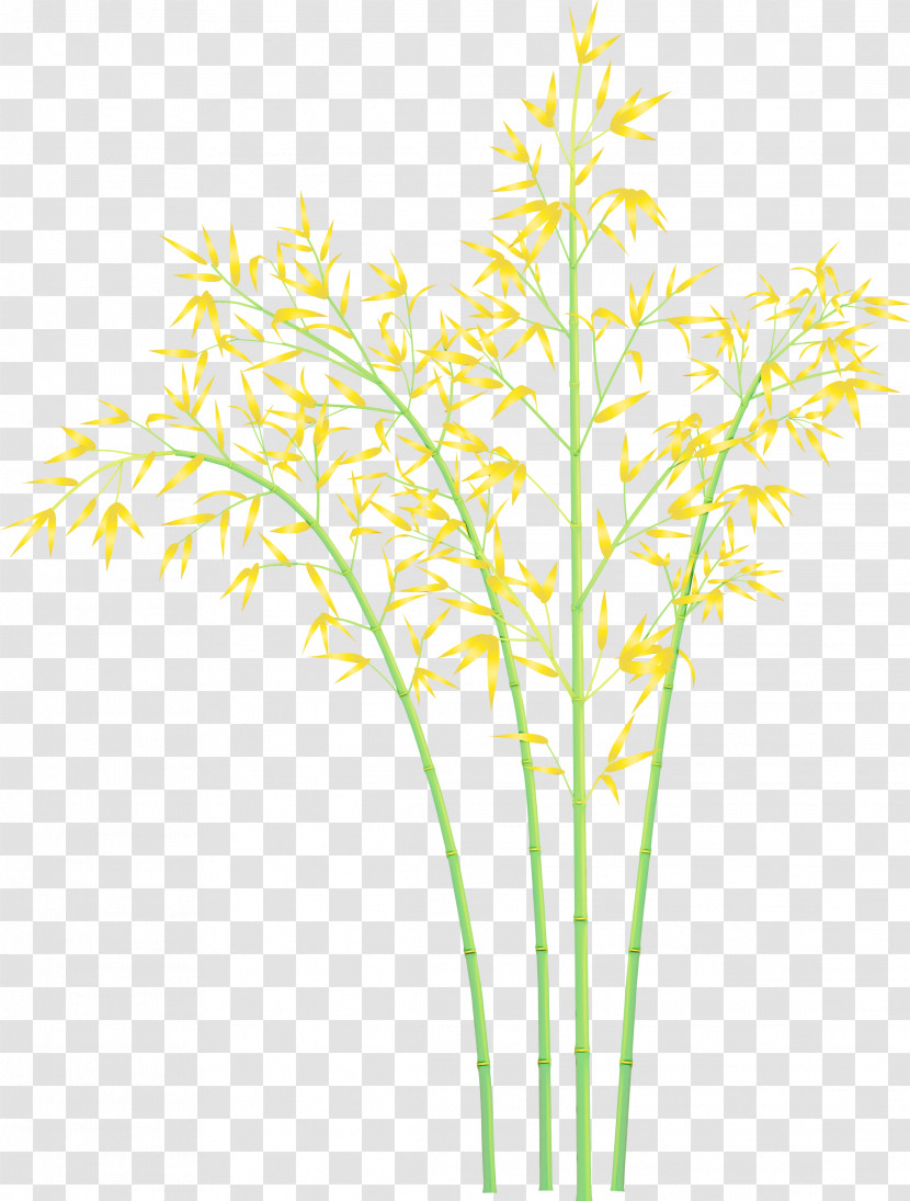 Plant Yellow Grass Grass Family Plant Stem Transparent PNG