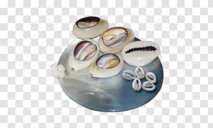 Cockle Seashell Digital Image - Tableware Transparent PNG