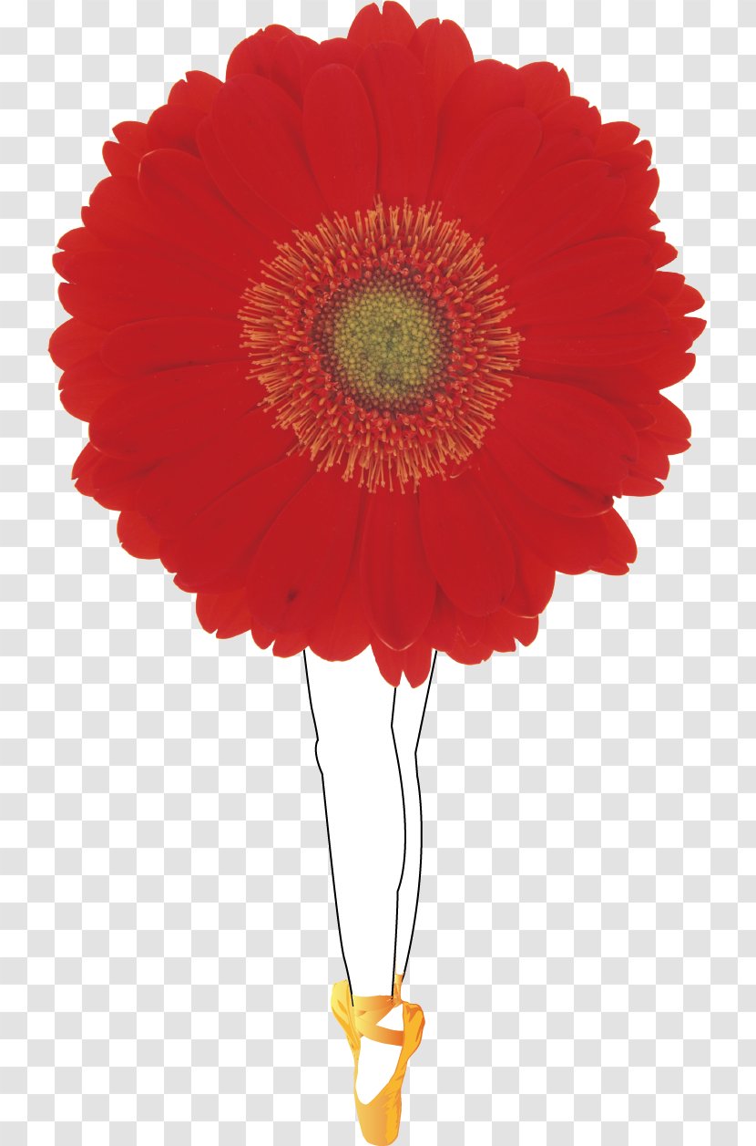 Red Flower Bouquet Photography - Tree - Vector Painted Ballet Transparent PNG
