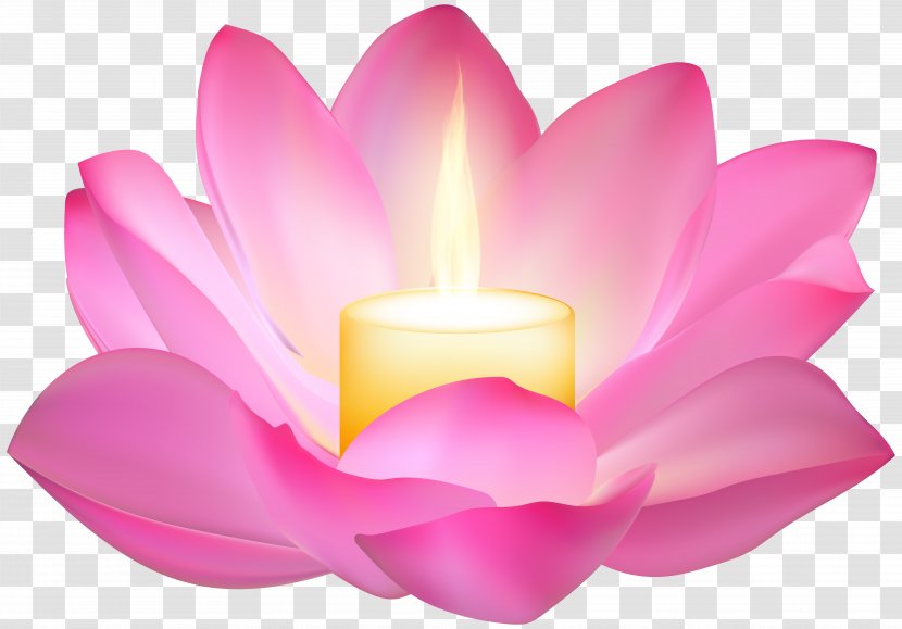 Wallpaper - Candle - Lotus Clip Art Image Transparent PNG