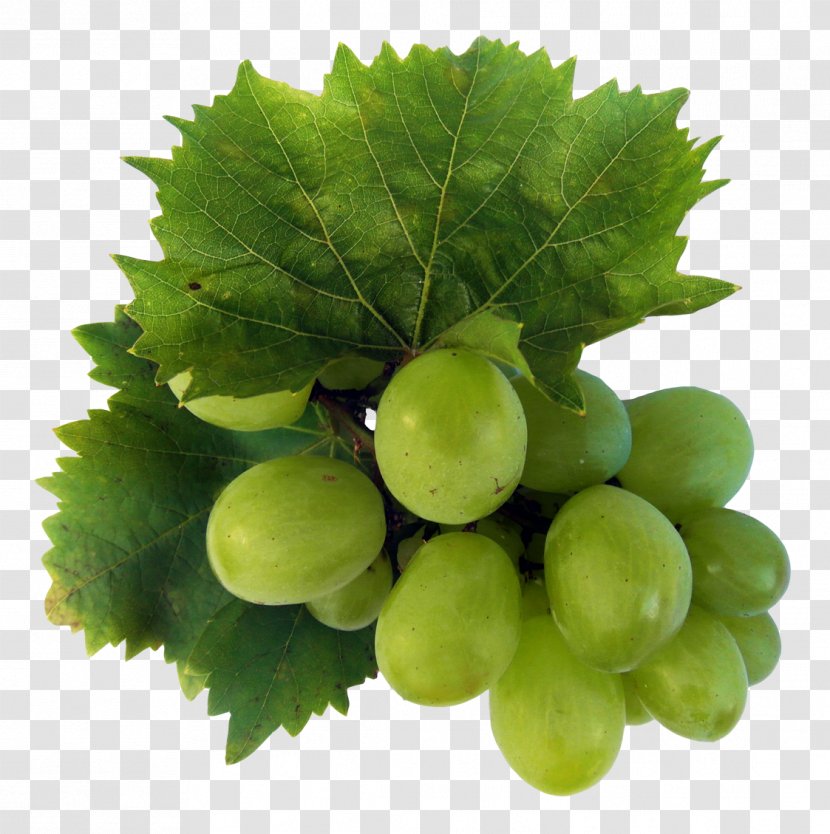 Wine Sultana Riesling Grape Fruit - Grapevines - Green Grapes Transparent PNG