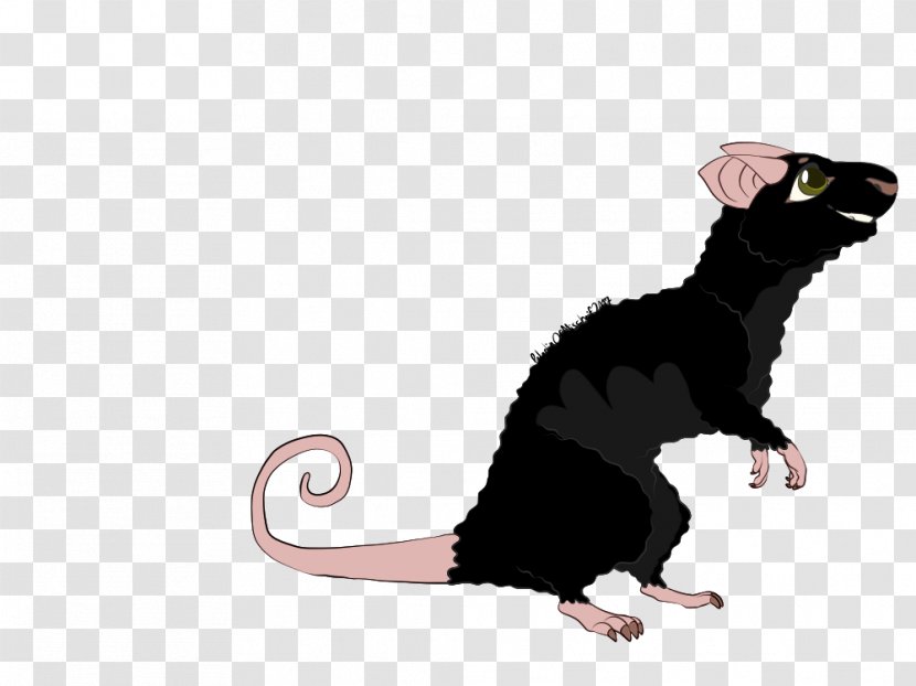 Cat Rat Mouse Rodent Mammal - & Transparent PNG