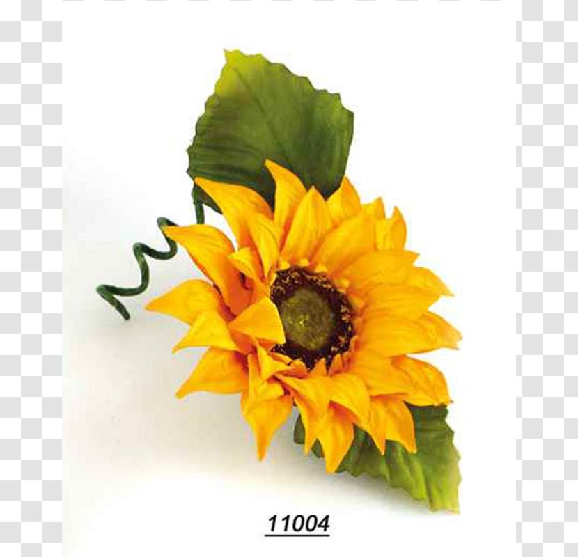 Common Sunflower Floral Design Cut Flowers Seed - Yellow - Flower Transparent PNG