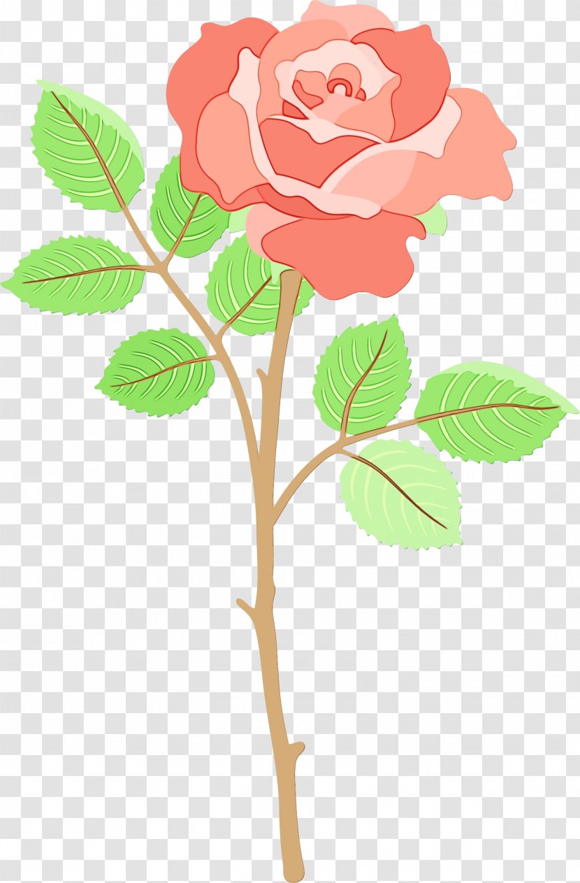 Clip Art Garden Roses Flower Image - Plant Stem Transparent PNG