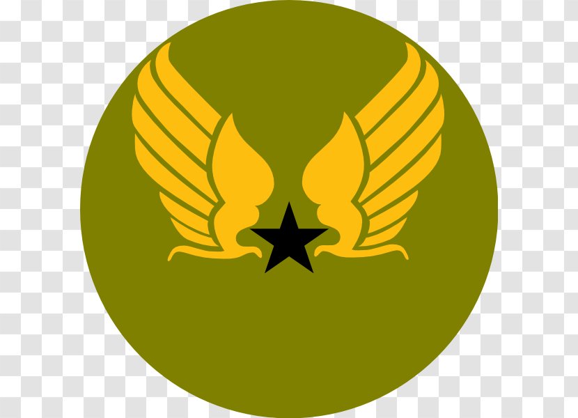 United States Air Force Symbol Army Forces Transparent PNG
