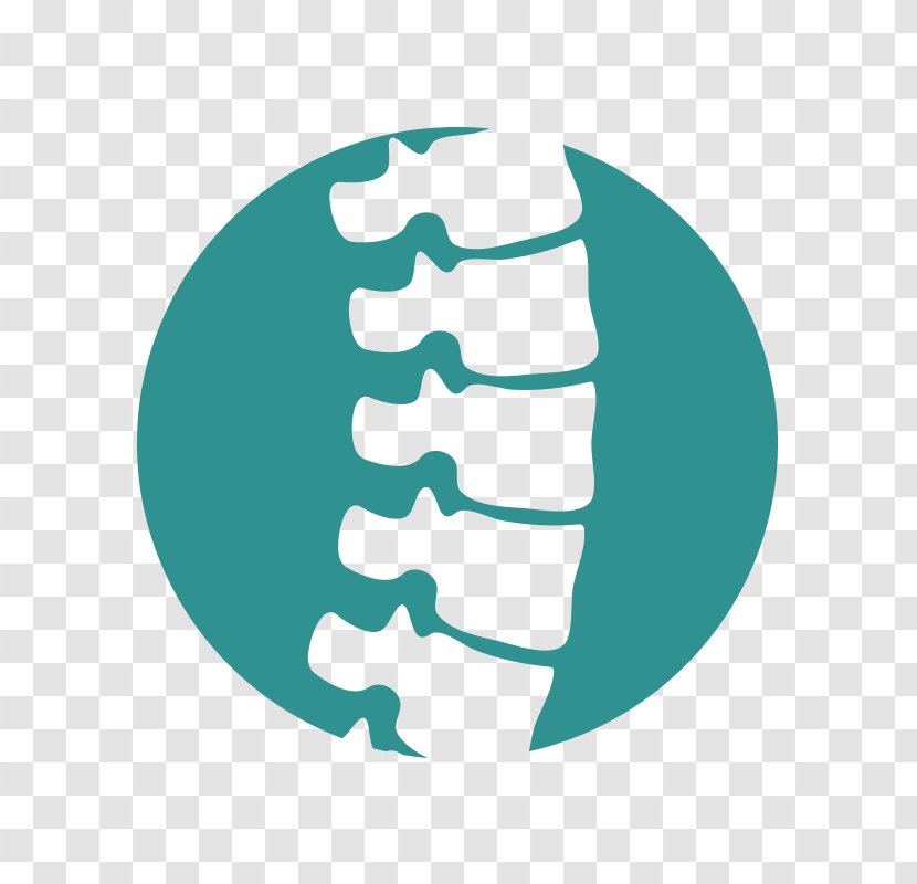 Vertebral Column Vector Graphics Royalty-free Chiropractic Illustration - Stock Photography - Ergonomic Icon Transparent PNG