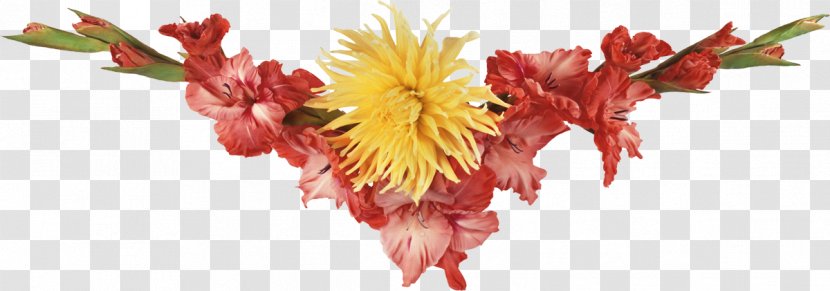 Flower - Tiff Transparent PNG