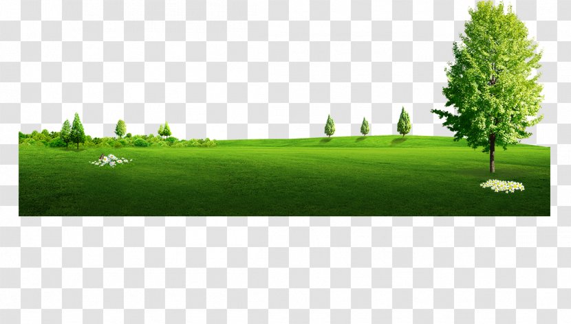 Garden Image Clip Art Lawn - Land Lot - Les Rochers Transparent PNG