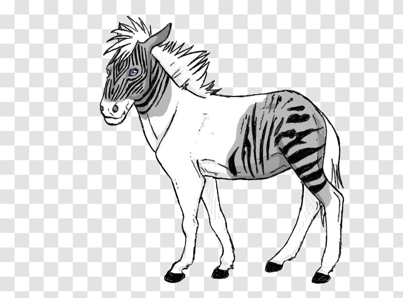 Quagga Mustang Pony Mane Zebroid - Organism - War Chariot Transparent PNG