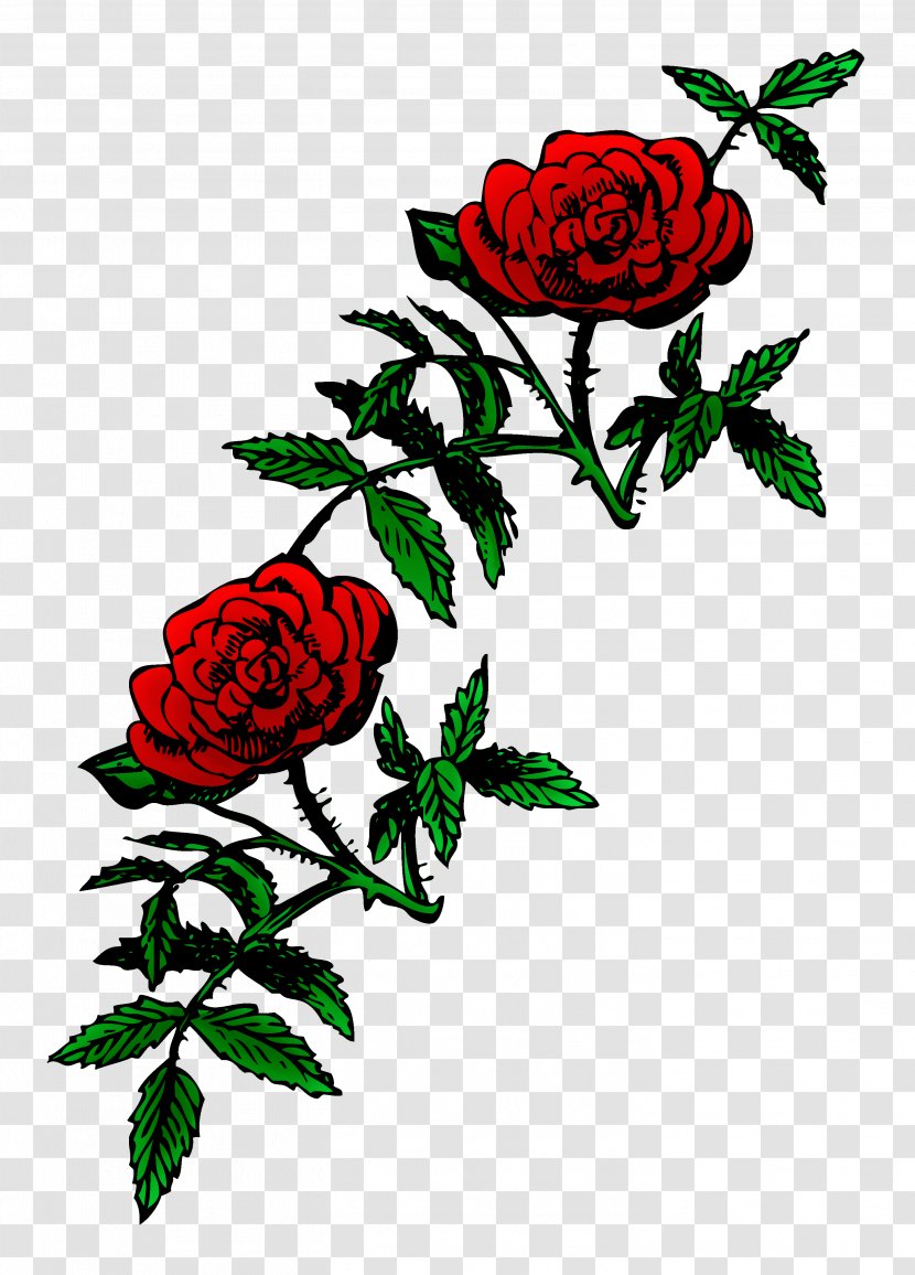 Rose Public Domain Clip Art - Plant - Vector Transparent PNG