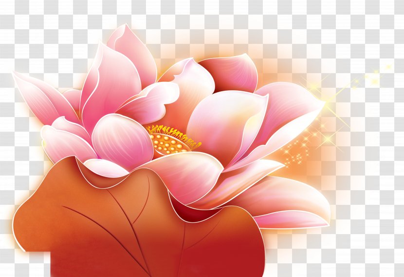 Inner Mongolia Mid-Autumn Festival Mooncake Happiness - Floral Design - Lotus Transparent PNG