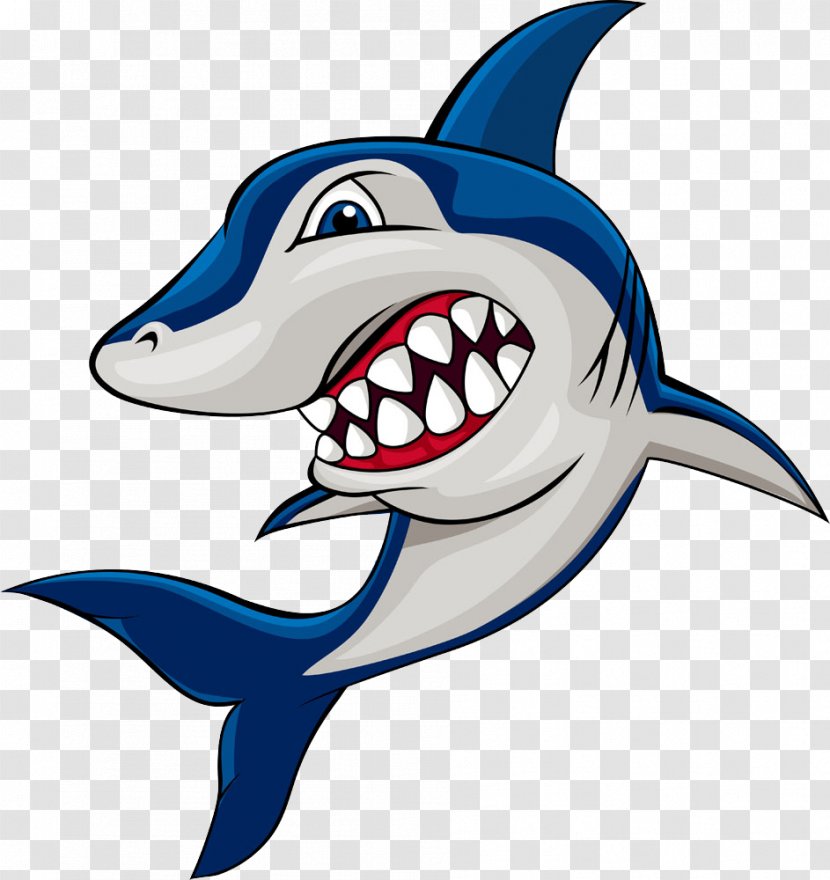 Shark Drawing Illustration - Animation Transparent PNG