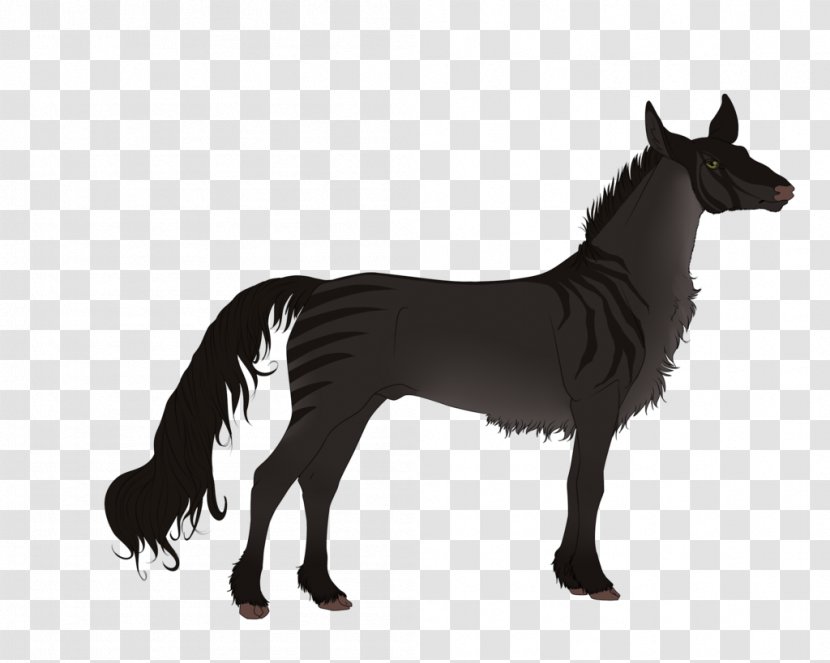 Mustang Stallion Dog Donkey Pack Animal - Horse Like Mammal Transparent PNG
